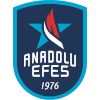 Anadolu Efes S.K.